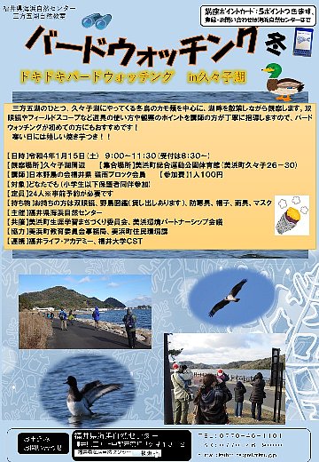 バードウォッチング　冬　ドキドキバードウォッチングin久々子湖