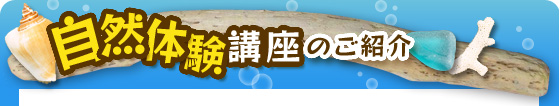 自然体験講座のご紹介
