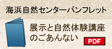 海浜自然センターパンフレット